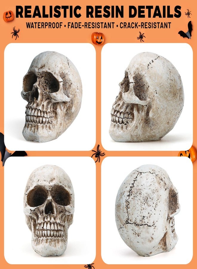SHUS LIVE Skull Decor, Resin Realistic Skeleton Head Statue for Halloween, Fake Human Bone Skull Model for Halloween Decoration, Home, Party, Table, Bookshelf - Image 3